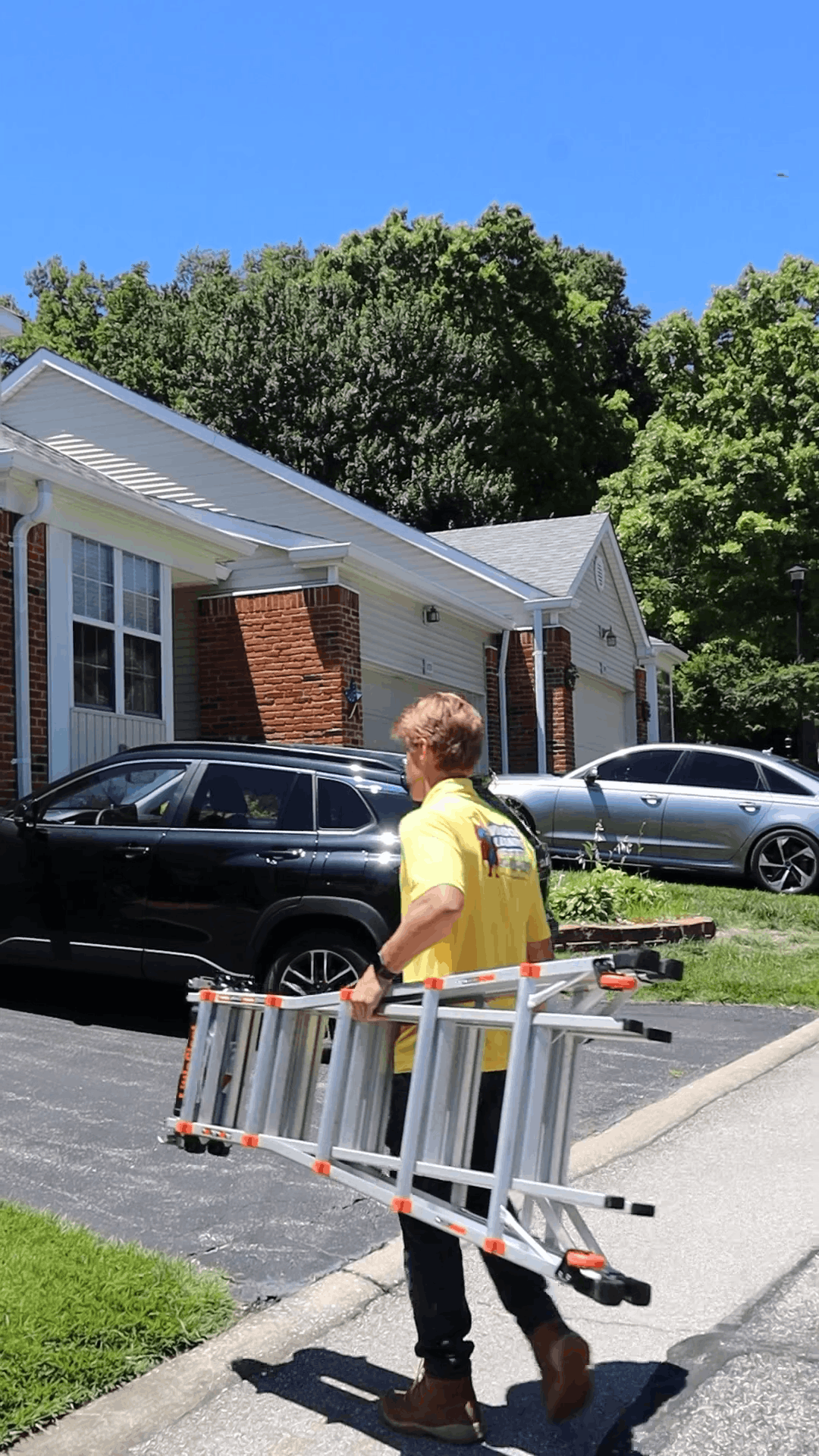 Commercial Window Cleaning